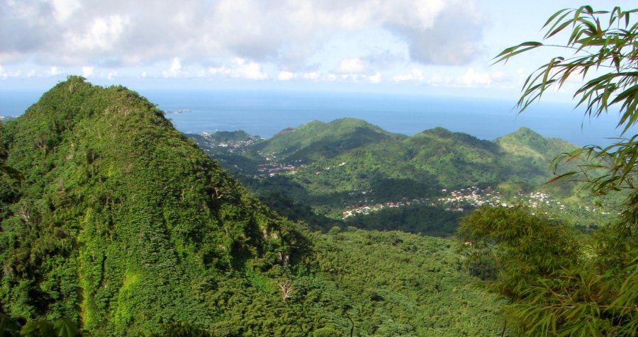 Тропические леса Гренады
